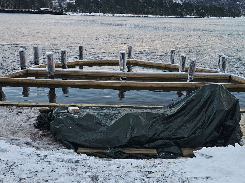 Tømrerarbeid og konstruksjon